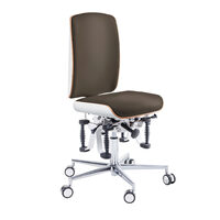 Scaun de lucru Ergonomic Bioswing,  48-61 cm