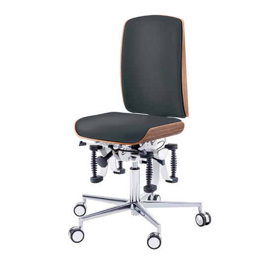 Scaun de lucru Ergonomic Bioswing,  48-61 cm