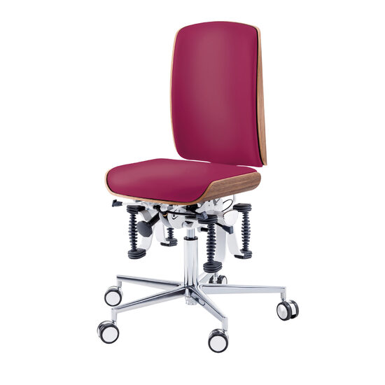 Scaun de lucru Ergonomic Bioswing,  48-61 cm