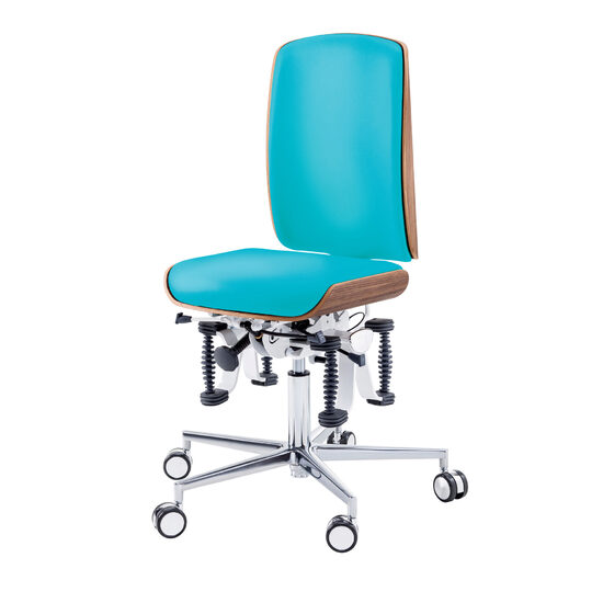 Scaun de lucru Ergonomic Bioswing,  48-61 cm