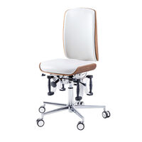 Scaun de lucru Ergonomic Bioswing,  48-61 cm